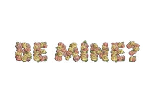 Be Mine: A Floral Embroidery That Asks the Right Question