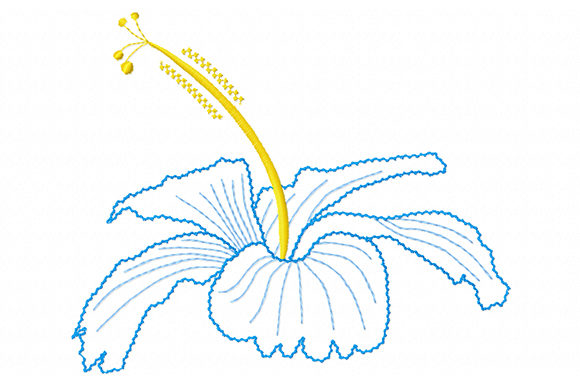 Charming Hibiscus: A Tropical Touch for Small Business Merch