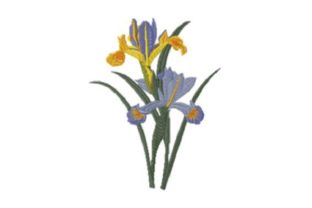Iris Beauty: A Vintage-Inspired Embroidery Gem