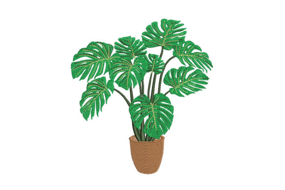 Monstera: Fresh, Modern & Booth-Ready