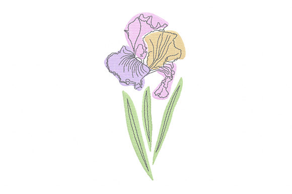 Pastel Iris Flower Embroidery Review