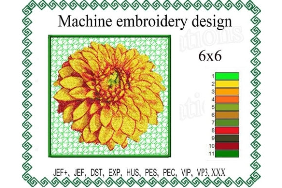 Photo Stitch Dahlia Review